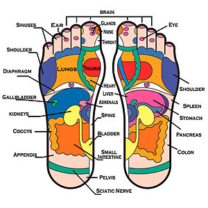 About Reflexology. reflexchart.docx